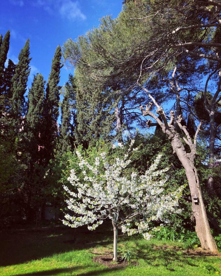 Maison La Roseliere Montpellier Buitenkant foto